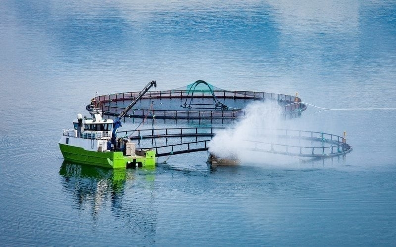 Aquaculture Aquaculture