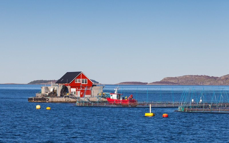Aquaculture Aquaculture