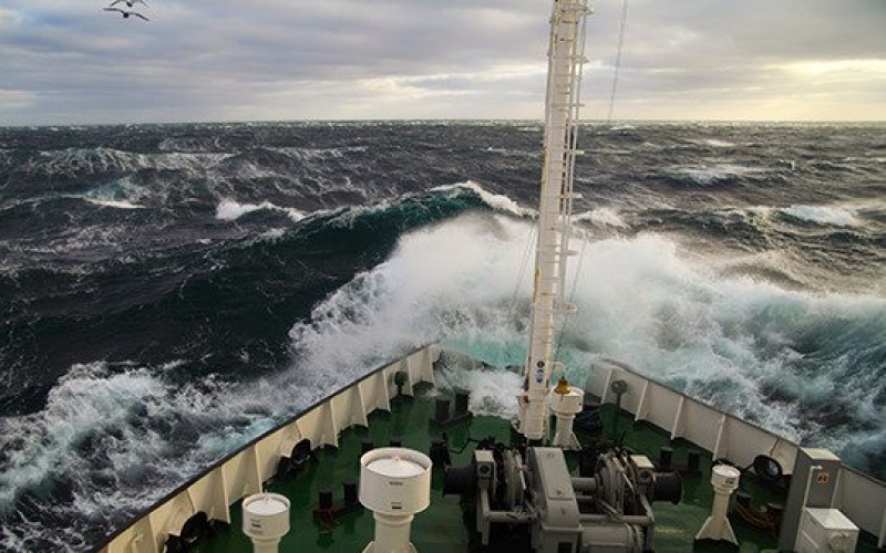 Marine Marine